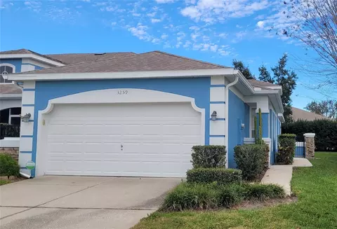 3259 River Branch Cir, Kissimmee, FL 34741