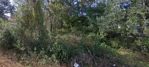 SE 172nd Avenue, Silver Springs, FL 34488
