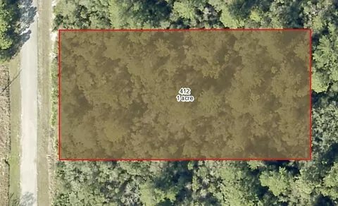 Ligustrum Street, Eustis, FL 32736