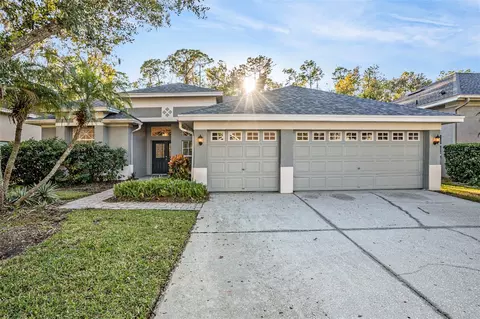 10711 Tavistock Dr, Tampa, FL 33626