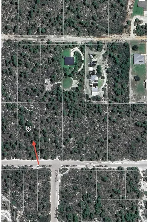 2132 Macintosh Ave, Sebring, FL 33875 photo 6