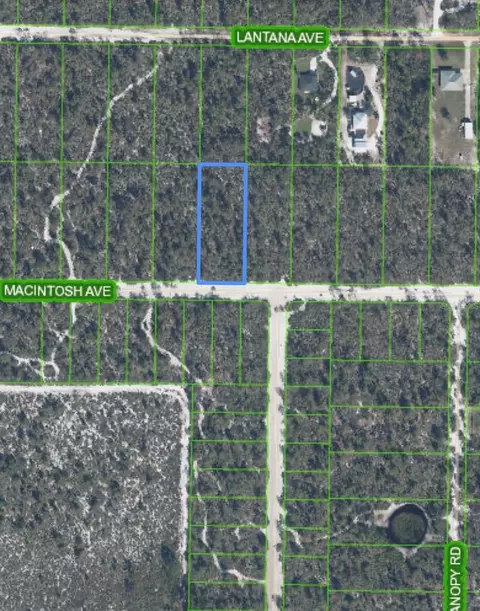 2132 Macintosh Ave, Sebring, FL 33875 photo 2