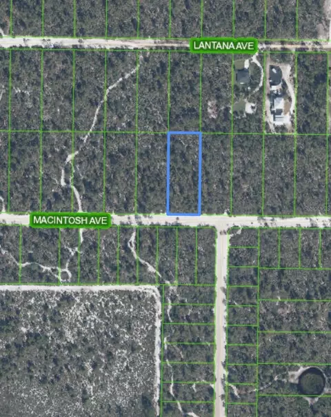 2132 Macintosh Ave, Sebring, FL 33875 photo 3