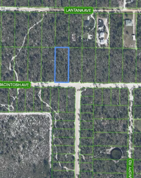 2132 Macintosh Ave, Sebring, FL 33875 photo 4