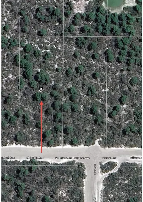 2132 Macintosh Ave, Sebring, FL 33875 photo 8