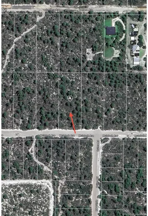 2132 Macintosh Ave, Sebring, FL 33875 photo 7
