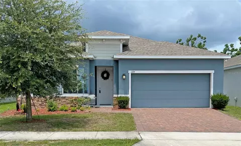 224 August Fern Loop, Mount Dora, FL 32757