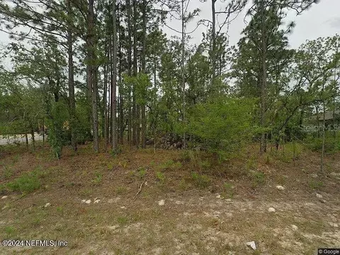 2044 W Riley Dr, Citrus Springs, FL 34434