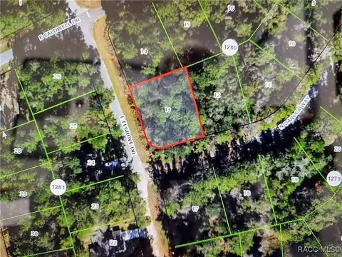 551 Elgrove Dr, Citrus Springs, FL 34434