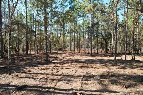 93 Rd Ter, Archer, FL 32618