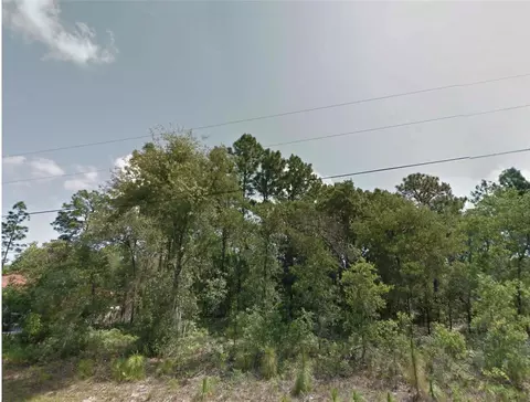 8383 N Manuetta Dr, Citrus Springs, FL 34434
