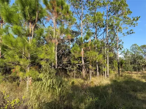 River Ranch Boulevard, Lake Wales, FL 33898