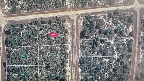 3138 Aster Ave, Lake Placid, FL 33852