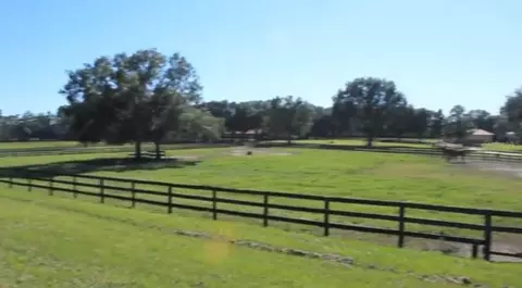 Other - 9400 NW 160th St, Reddick, FL 32686 photo 6 of 18