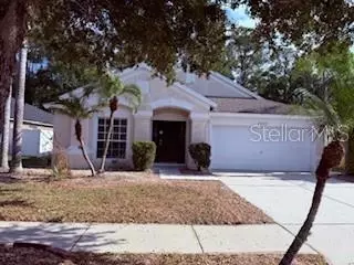 25422 Lexington Oaks Blvd, Wesley Chapel, FL 33544