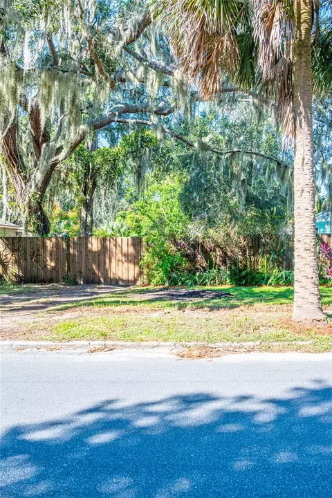 S. Rhodes Street, Mount Dora, FL 32757