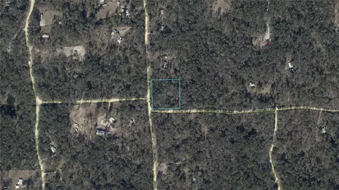 NE 312th Avenue, Old Town, FL 32680