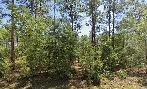 NW Water Oak Avenue, Dunnellon, FL 34431