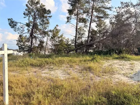 143 Zinnia Ln W, Kissimmee, FL 34759