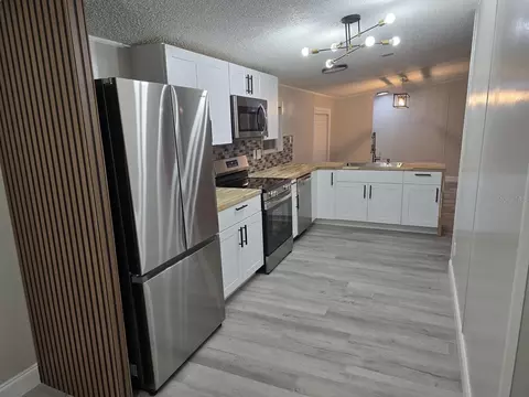 3700 W Highway 316, Reddick, FL 32686 photo 17