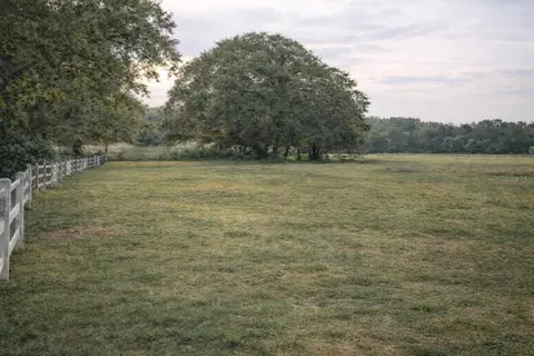 3700 W Highway 316, Reddick, FL 32686 photo 3