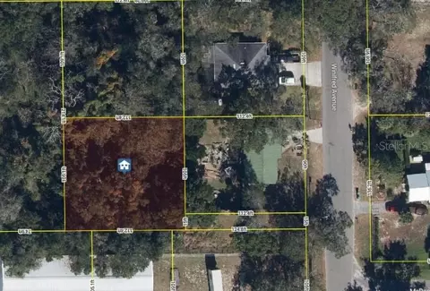 2834 Winifred Ave, Zellwood, FL 32798