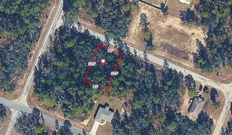 9724 W Calla Lily Dr, Dunnellon, FL 34433