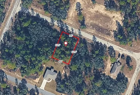 9720 W Calla Lily Dr, Dunnellon, FL 34433
