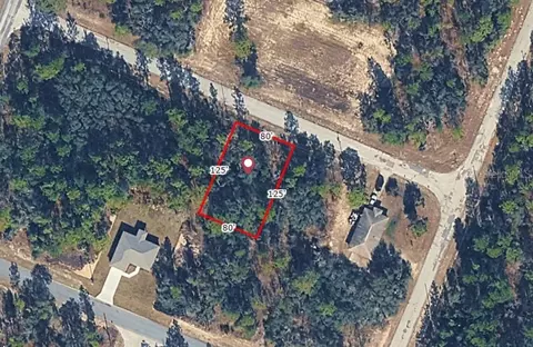 9714 W Calla Lily Dr, Dunnellon, FL 34433
