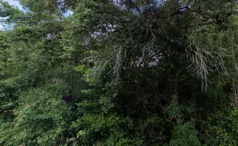 32883302 E Alisa Ln, Inverness, FL 34453