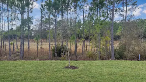 Exterior - 7520 Bent Tree Loop, Saint Cloud, FL 34773 photo 3 of 4