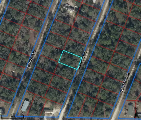 NE 155th Court, Williston, FL 32696