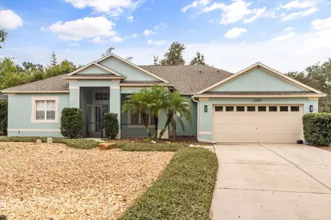 12800 Scout Ct, Grand Island, FL 32735