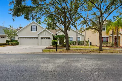 16161 Colchester Palms Dr, Tampa, FL 33647