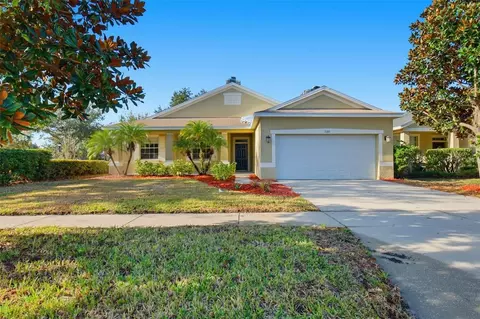 11337 Bridge Pine Dr, Riverview, FL 33569