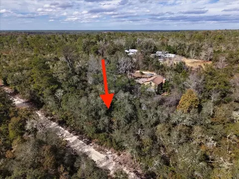NE 233rd Lane, Fort Mc Coy, FL 32134