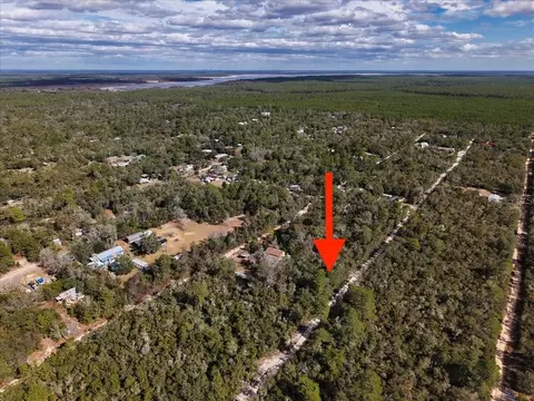 NE 233rd Lane, Fort Mc Coy, FL 32134