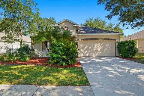 12906 Cattail Shore Ln, Riverview, FL 33579