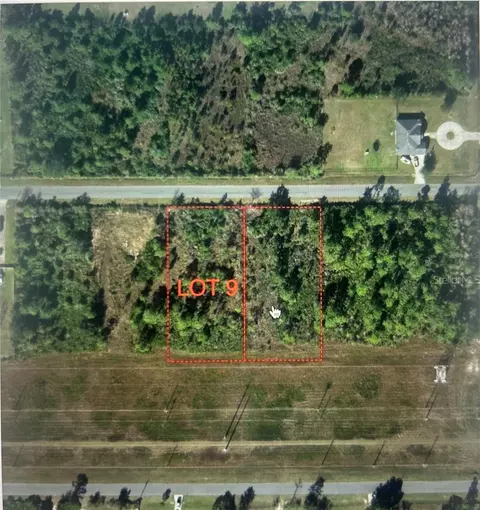 Nettleton Street, Orlando, FL 32833