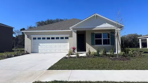 1257 Alstonia, Mount Dora, FL 32757