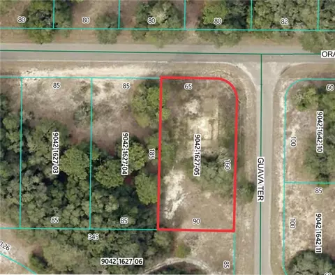 11745 Orange Rd, Ocklawaha, FL 32179