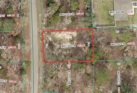 19 Fisher Lane Trak, Ocklawaha, FL 32179