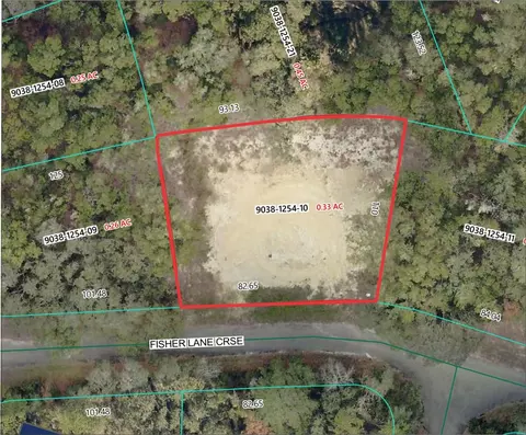 5 Fisher Lane Crse, Ocklawaha, FL 32179