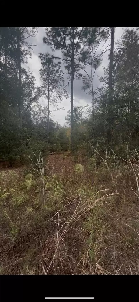 0 SW 21 Pl, Ocala, FL 34481