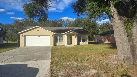 7325 Holly St, Mount Dora, FL 32757