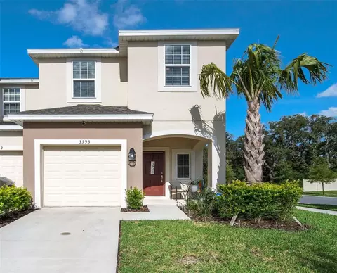3593 Anibal St, Kissimmee, FL 34746
