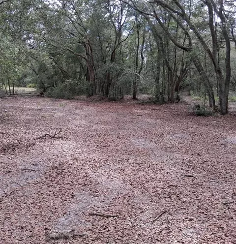 33174 Tombstone St, Webster, FL 33597