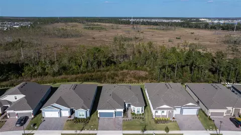 View/Area - 2575 Pine Preserve Ct, Saint Cloud, FL 34771 photo 3 of 7