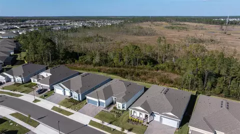 View/Area - 2575 Pine Preserve Ct, Saint Cloud, FL 34771 photo 1 of 7