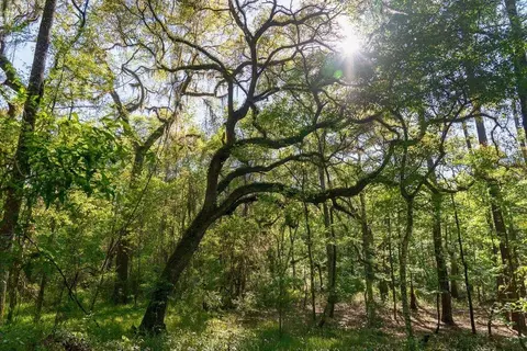 tbd Lot 10 10th Ter, Live Oak, FL 32060